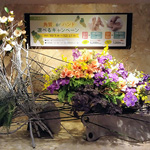 �W���X�}�b�N�v���U�z�e���D�y�V�R����u�������v�t�����g�I�u�W�F����